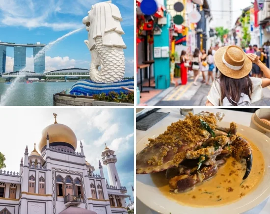 クリーミークラブの昼食+市内観光　チャイナタウン・アラブストリート散策付き